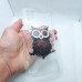 Чехол накладка для Samsung Galaxy A12 с рисунком "сова"